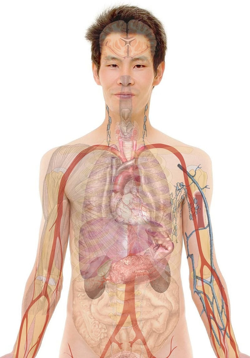 Body-mind integration